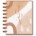The Happy Planner Sand and Stone 12-Month Undated Recovery Planner Classic Size Recovery Layout *minimum order 1 unit* Retails $44.95 each