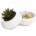 2.72" x 3.54" Paperclip Holder and USB Charging Planter Décor 2 USB Ports - Opens to Hold Paperclips - Planter Style with Plastic Plant U Brands *minimum order 2 units* (order in increments of 2) BTS BUCKOFF PROMO $1 Off $6.95