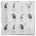 10.5″ x 10.5″ Gnome for the Holidays 8count Dinner Plates Features silver foil border accent *minimum order 6 units* (order in increments of 6)